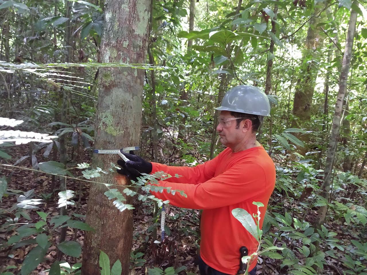 Inventário Florestal.jpg